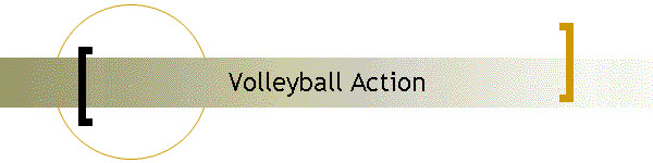 Volleyball Action