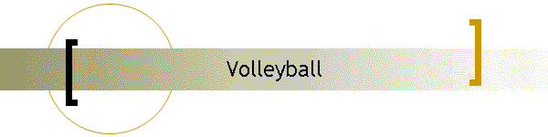 Volleyball